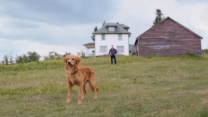 《一条狗的使命2》：以狗狗贝利的视角看世界