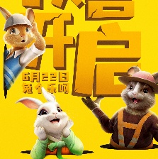 憨兔的奇幻之旅