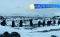剧集《权力的游戏》在冰岛取景