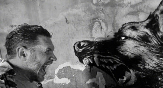 《毒液3》幕后照曝光 汤姆·哈迪对野狼做撕咬动作