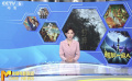 七月新片前瞻 “神仙打架”蓄势待发