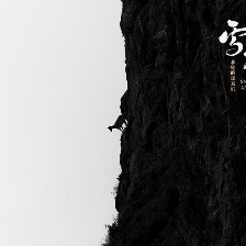 雪豹和她的朋友們