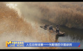 人生自有詩(shī)意——光影里的中國(guó)詩(shī)詞