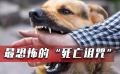 存活上千年的古老病毒，致死率高達(dá)100%，如今依舊令人聞風(fēng)喪膽