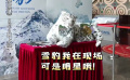 《雪豹和她的朋友们》开启全国点映 “雪豹”惊喜亮相 影院热闹非凡