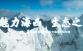 海西专题宣传片《魅力海西 生态之旅》