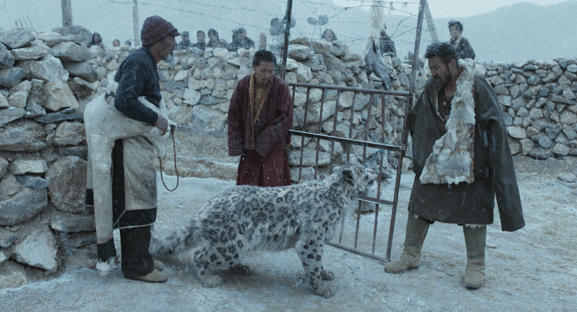 万玛才旦《雪豹》入围第80届威尼斯国际电影节