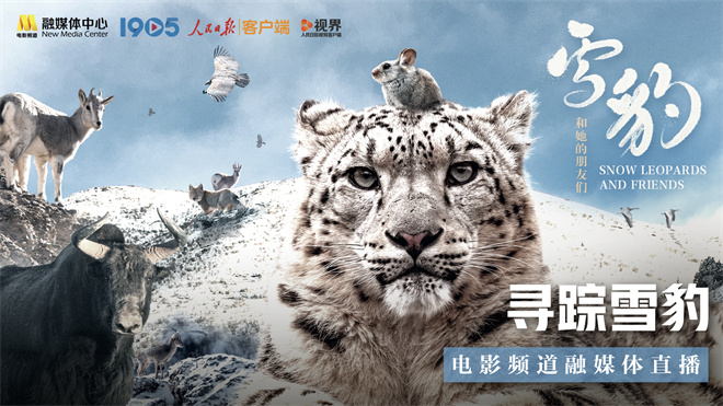 电影频道融媒体7.28-30日推出“寻踪雪豹”直播