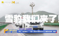 探访“寻踪雪豹——电影《雪豹和她的朋友们》融媒体直播”筹备
