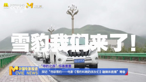 探访“寻踪雪豹——电影《雪豹和她的朋友们》融媒体直播”筹备