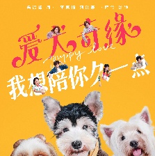 愛犬奇緣