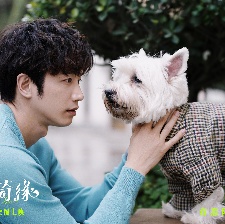愛犬奇緣