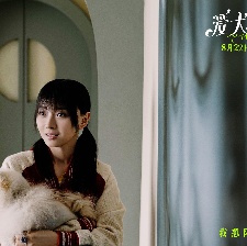 愛犬奇緣