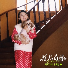 愛犬奇緣