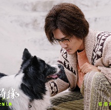 愛犬奇緣
