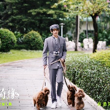 愛犬奇緣