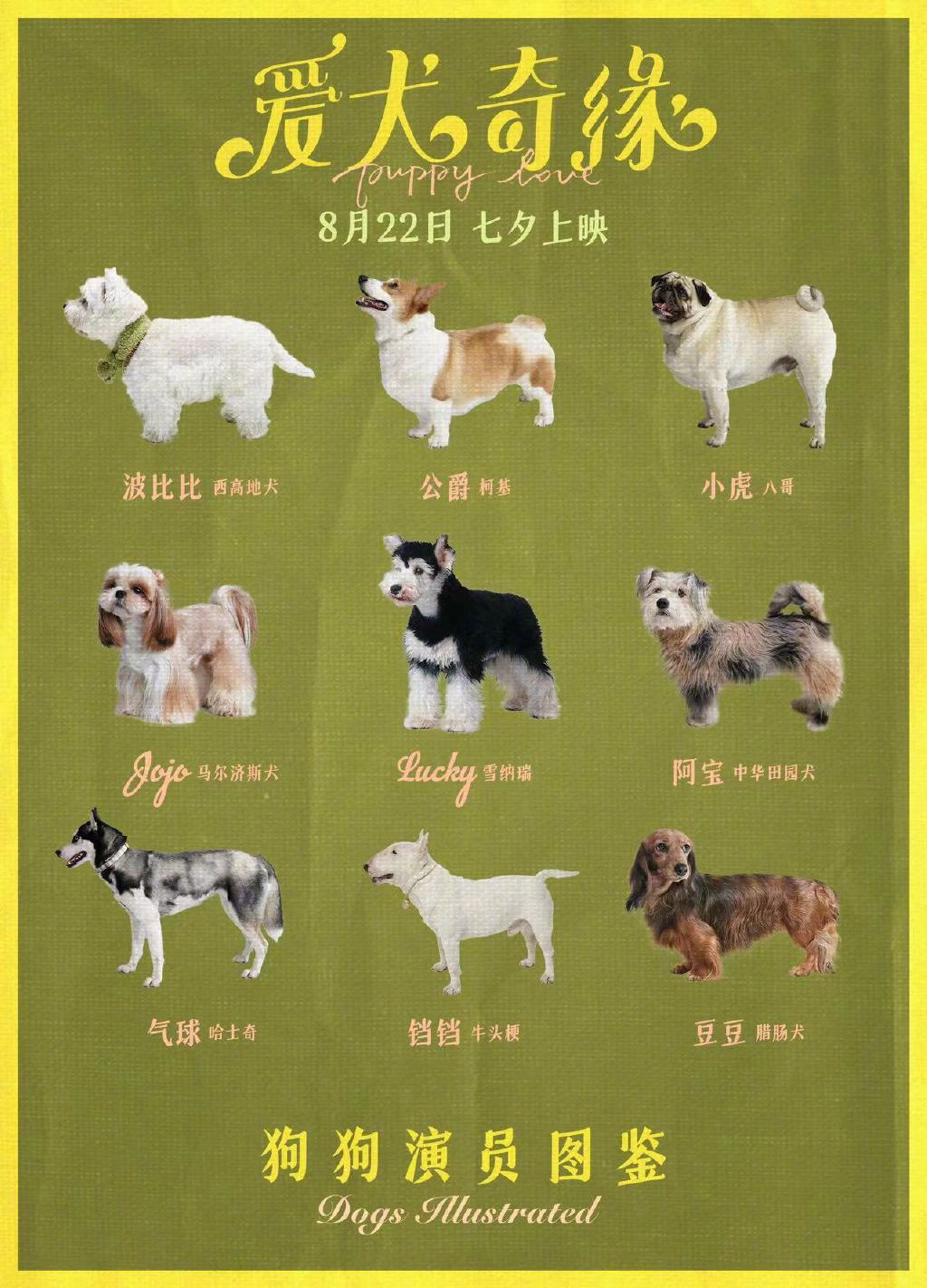 萌宠天团出道！《爱犬奇缘》曝狗狗演员图鉴海报