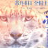 《雪豹和她的朋友们》终极预告 开启心灵治愈之旅