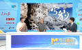 奚志農(nóng)和更求曲朋因雪豹結(jié)緣