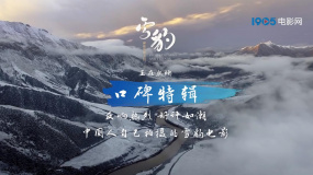 电影《雪豹和她的朋友们》获得专家和普通观众的肯定