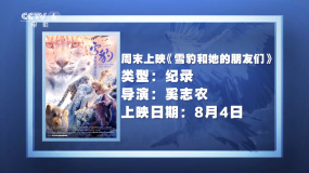周末上映｜《雪豹和她的朋友们》：一次净化心灵的高原之旅
