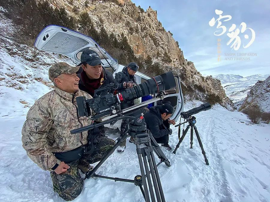 “雪豹”导演奚志农：梦想拍中国的《动物世界》