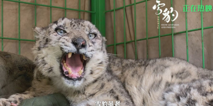 看哭了！正片片段曝光