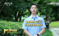 《孤注一掷》聚焦网络诈骗 警察手把手教你反诈