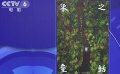 上美影又“上新” 4D動(dòng)畫(huà)《象之童話》聚焦亞洲象保護(hù)
