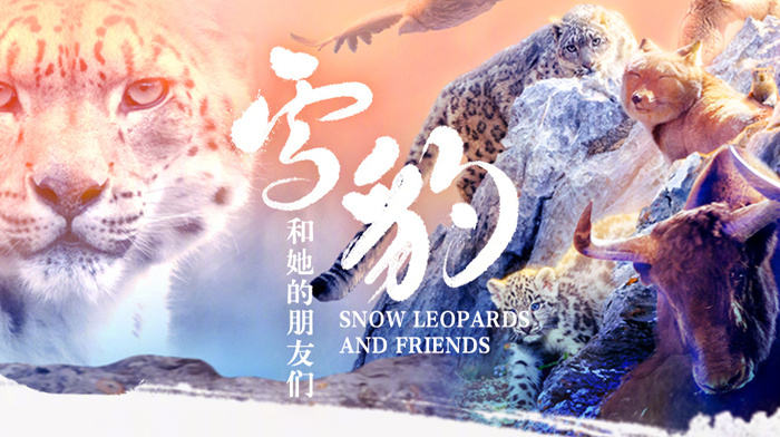 近50位电影人包场力挺电影《雪豹和她的朋友们》