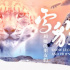 数十位电影人包场声援电影《雪豹和她的朋友们》
