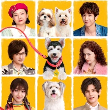 愛犬奇緣