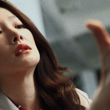 毒蜂
