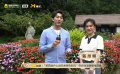 直击庐山国际爱情电影周｜诗人戴潍娜来到白居易草堂