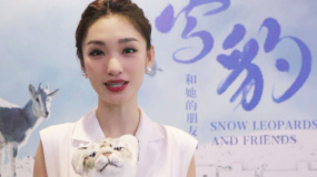 蓝羽的观影时光：《雪豹和她的朋友们》