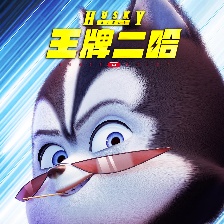 王牌二哈