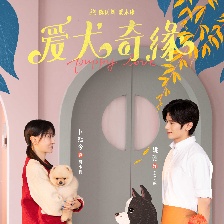 愛犬奇緣