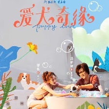 愛犬奇緣