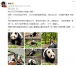 太有愛了！費翔曬與領(lǐng)養(yǎng)的“哈基米”大熊貓翔翔合影