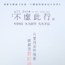 不虛此行