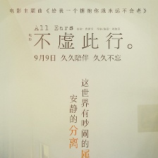 不虛此行