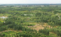 走進(jìn)于家務(wù)回族鄉(xiāng)最大的濕地公園