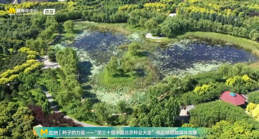 电影频道推出第三十届中国北京种业大会直播活动(图15)
