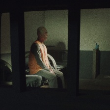 毒蜂