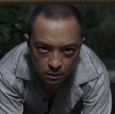 毒蜂