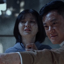 毒蜂