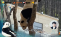 尹浩宇为大熊猫配音