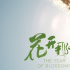 花開有期待，那年正向陽！《花開那年》定檔10.20