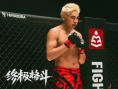 终极格斗
