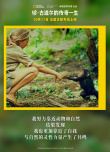 《珍·古道爾的傳奇一生》上映 展現(xiàn)女科學家傳奇